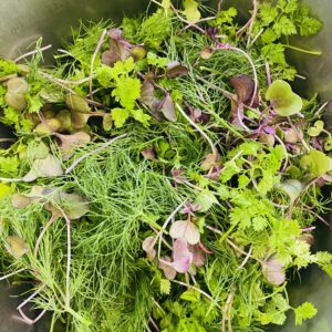 Konfirmationsbuffet 2025